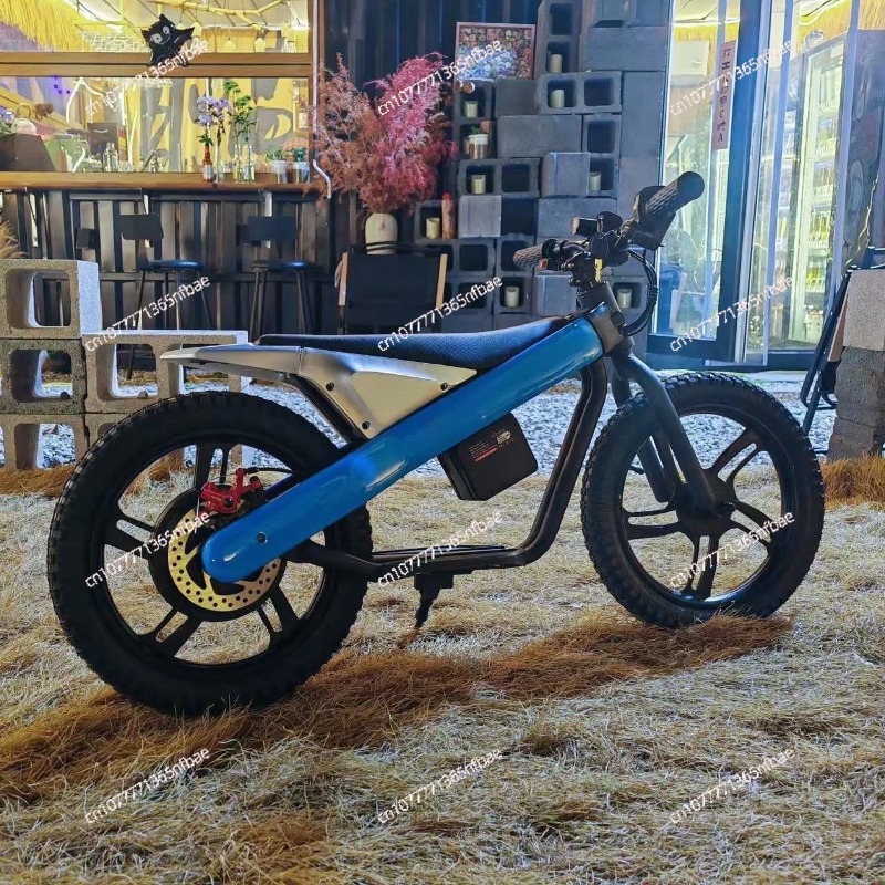 16 Inch Kids Electric Balance  - đánh giá và giá Kids Electric Scooter